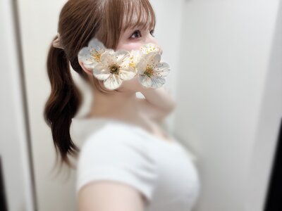 春花　あいさんの写真